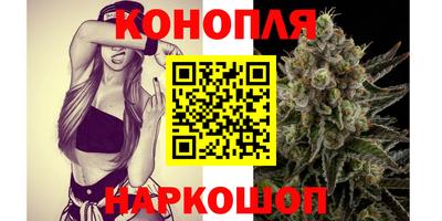 мет Гай