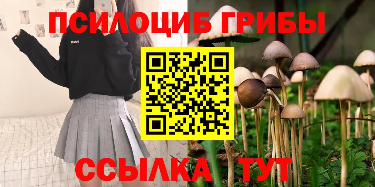 Псилоцибиновые грибы MAGIC MUSHROOMS  Вход с VPN  Истра 